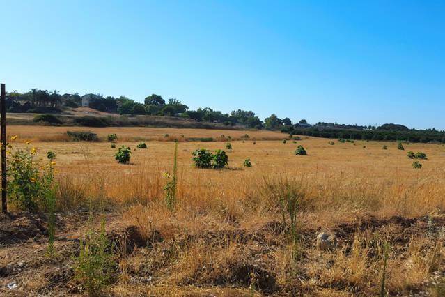 Benny'S Studio Beit Hanan Εξωτερικό φωτογραφία